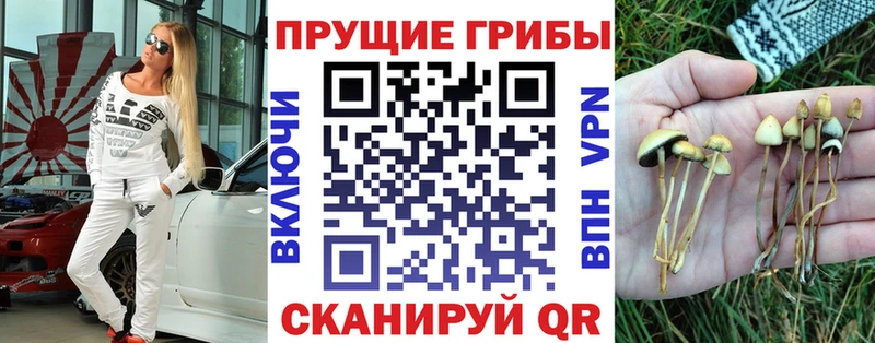 Псилоцибиновые грибы мицелий  Красноуфимск 